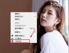 技术员联盟win7和Win8系统联机获取主题的操作方法有哪些