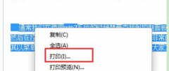 在番茄花园Win7系统中打印选定的网页内容的技巧