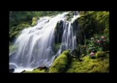 中关村XP系统显示器四周有黑框的解决方法