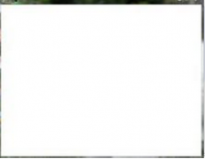 进入欢迎界面后大地XP系统出现白屏的排查解决措施