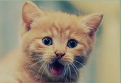 系统映像恢复新萝卜家园Win7系统的妙计