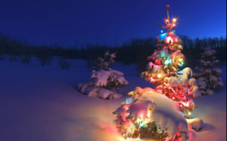 大地Win7系统让IE浏览器不使用选项卡浏览的操作步骤