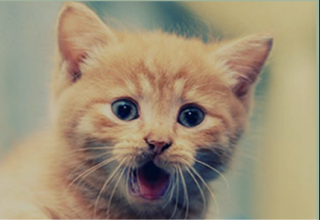 win7系统映像恢复电脑故障的方法