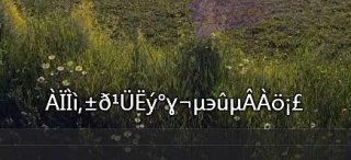 新萝卜家园win7电影外挂字幕乱码的解决方法