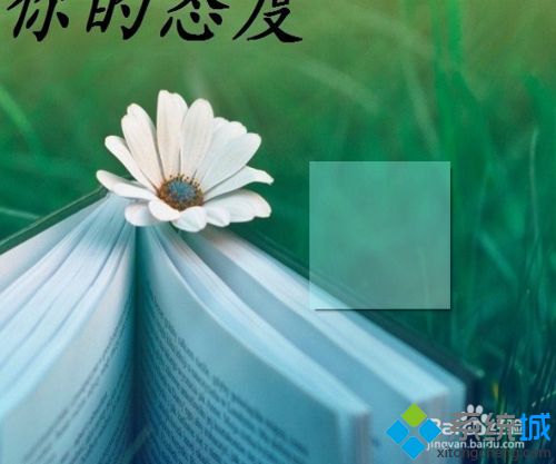 桌面透明便签(6)