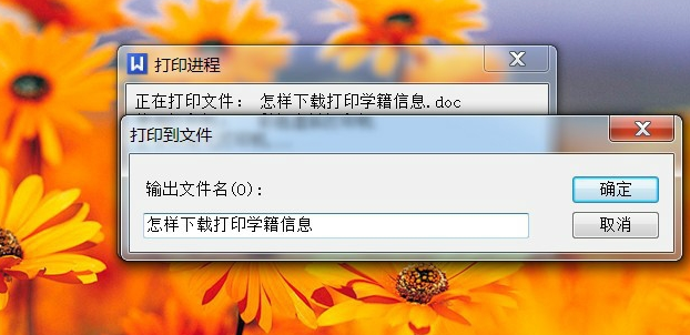 pdf虚拟打印机怎么安装(11)