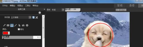 acdsee免费版怎么用(3)