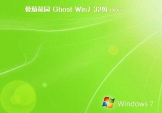 番茄花园win7装机纯净版32位V2020.05