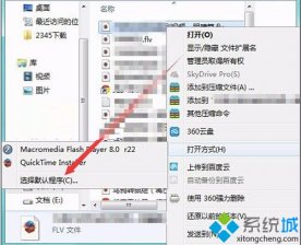 在电脑中打开flv视频文件显示空白无法播放怎么办