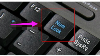 键盘打字母出现数字,小编告诉你电脑键盘打字母出现数字怎么办