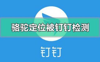 骆驼定位被钉钉检测怎么办