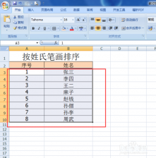 姓的笔顺【应对形式】