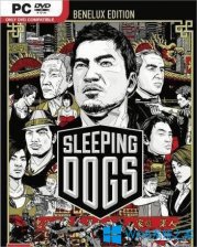 Win8热血无赖打不开的解决方法