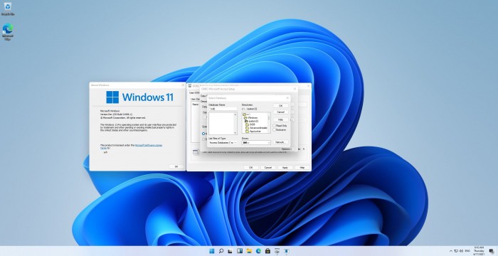 不要惊讶：Windows 11中仍有Windows 3.1组件