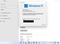 6月24日见！Windows 11确认：微软还有惊喜
