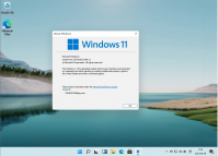 Windows11已确认！预计6月24日正式推出！