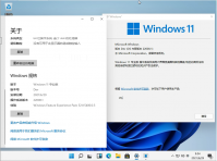 微软Dev Windows11 22000.51预览版镜像