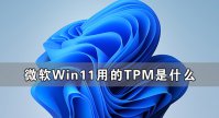 微软Win11用的TPM到底是什么 有关TPM详细解答