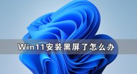 Win11安装黑屏了 Win11黑屏怎么办？