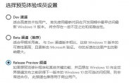 Win11 Dev和Beta渠道有什么不同 Win11 Dev和Beta渠道哪个好