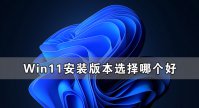 Win11安装版本选择哪个好 怎么选择Win11安装版本