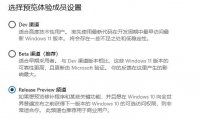 Windows11选dev渠道还是beta渠道？