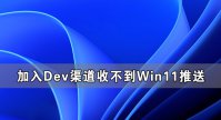 加入Dev渠道收不到Win11推送怎么办？