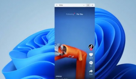 Windows11怎么看都抖音？Windows11看抖音方法详细介绍