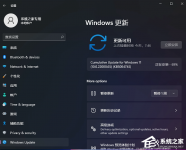 Win11更新22000.65(KB5004745)卡在69%不动