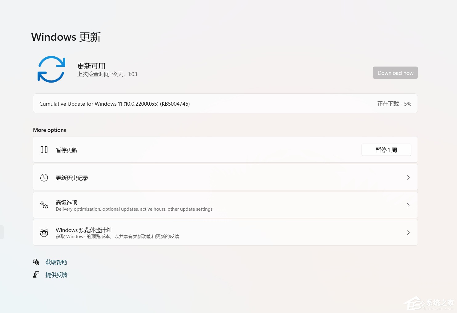 微软Win11 Insider Preview 10.0.22000.65（co_release）