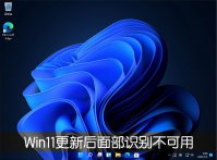 Win11更新22000.100后面部识别不可用怎么办？