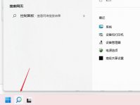 Windows11 dns怎么设置？Windows11 dns设置方法介绍