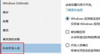 Win11系统打不开开发者预览怎么办？