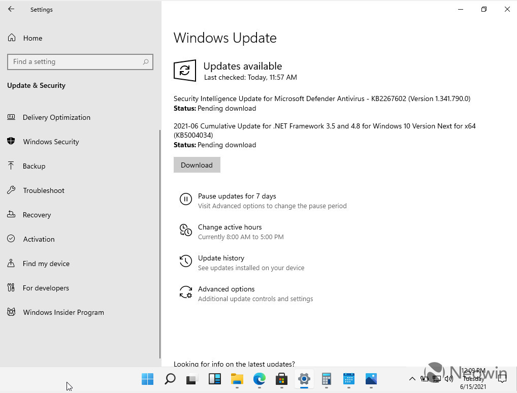 Windows 11最新截图画廊