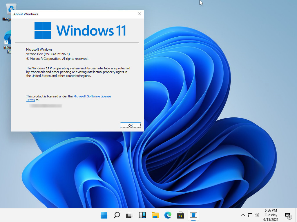 Windows 11最新截图画廊