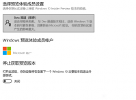 微软宣布Windows 11 Insider Build 22000.100预览版Beta频道更新！