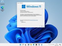 Win11怎么激活_Win11密钥+激活工具分享