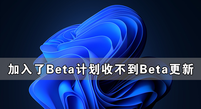 Windows系统加入了Beta计划却收不到Win11 Beta的更新