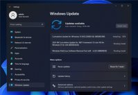 Cumulative Update for Windows11(10.0.22000.132)(KB5005190)更新