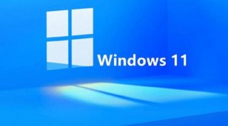 Win11家庭版、专业版区别曝光：功能差异不小