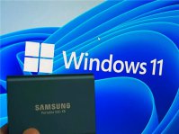 怎么在Windows11中备份文件并降级回Windows10？