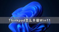 Thinkpad怎么升级Win11 Thinkpad笔记本升级Win11系统教程