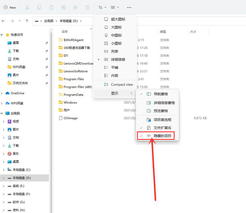 怎么样查看Win11的隐秘项目？Win11隐秘项目查看教程分享