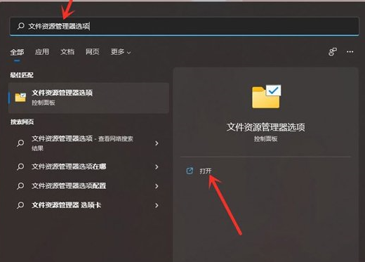 Win11系统如何显示文件后缀名？