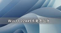 Win11 22449卡死怎么办 Win11 22449卡死的解决方法