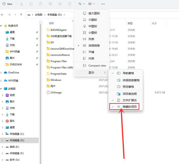 Win11如何查看隐藏项目？Win11查看隐藏项目的方法