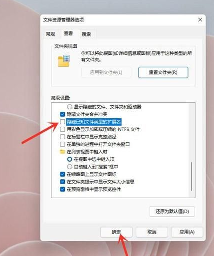 Win11怎么显示文件后缀名？Win11显示文件后缀名操作方法