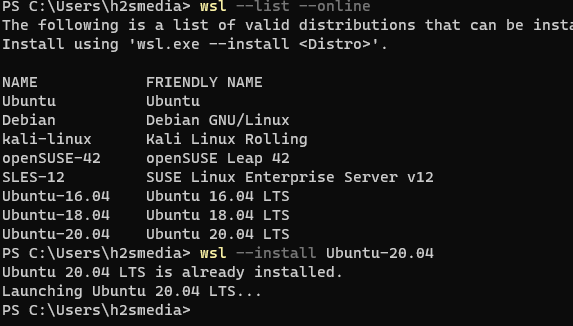 Win11系统安装 Ubuntu 20.04 WL2 的技巧