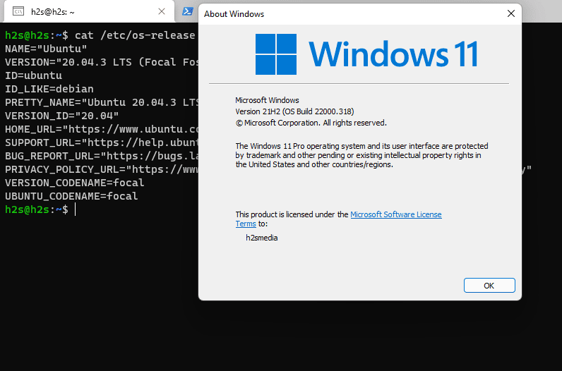 Win11系统安装 Ubuntu 20.04 WL2 的技巧