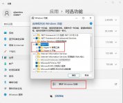 Win11系统打开自带虚拟机平台的方法